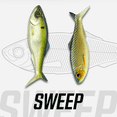 thumbnail image 3 of 6th Sense Sweep 6 in Weedless Soft Plastic Swimbait 1.2 oz Bass Fishing Lure with Subtle Tail Action Made in USA, 3 of 11