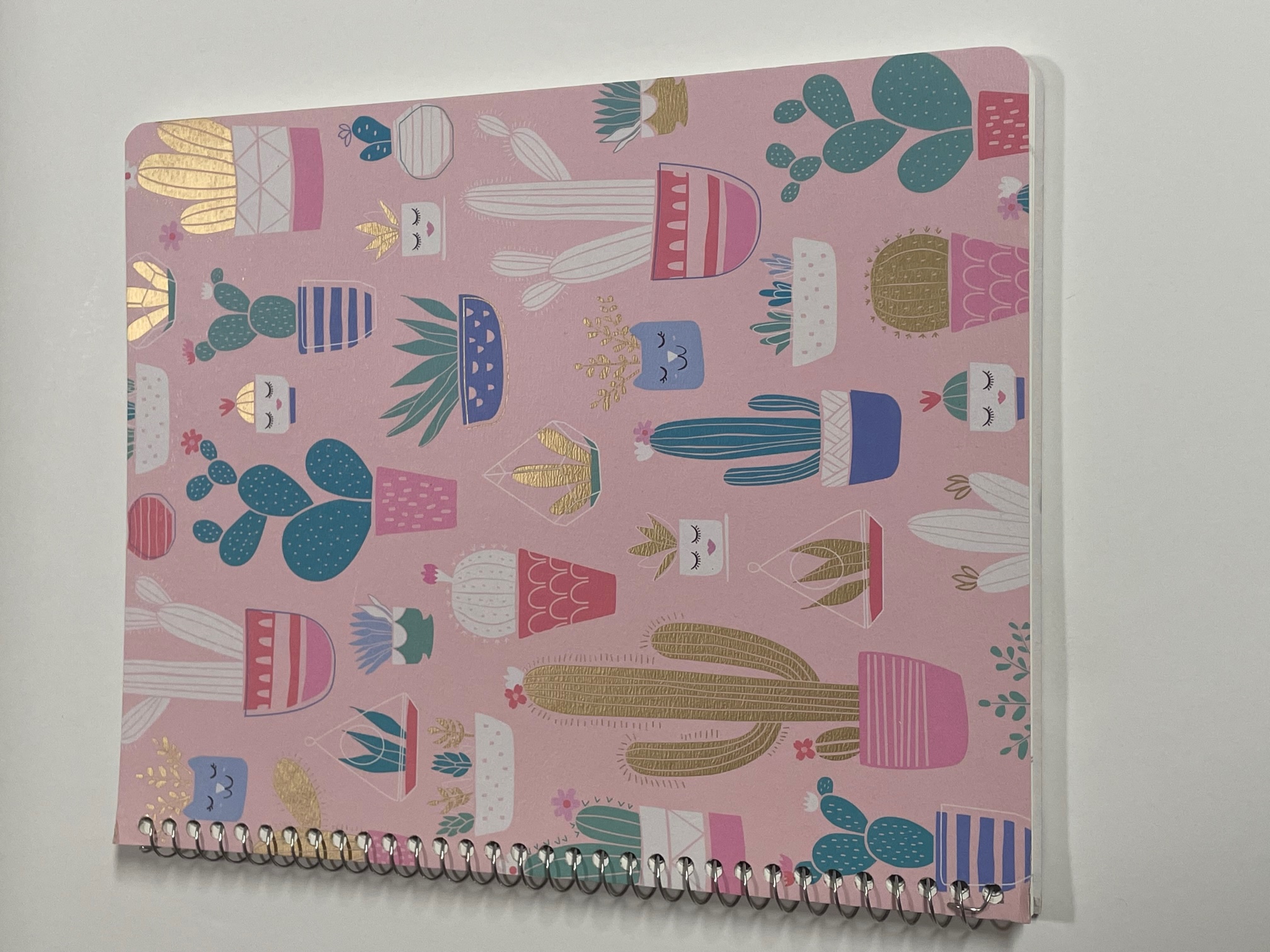 Greenroom College Ruled Spiral Notebook 70 Sheets