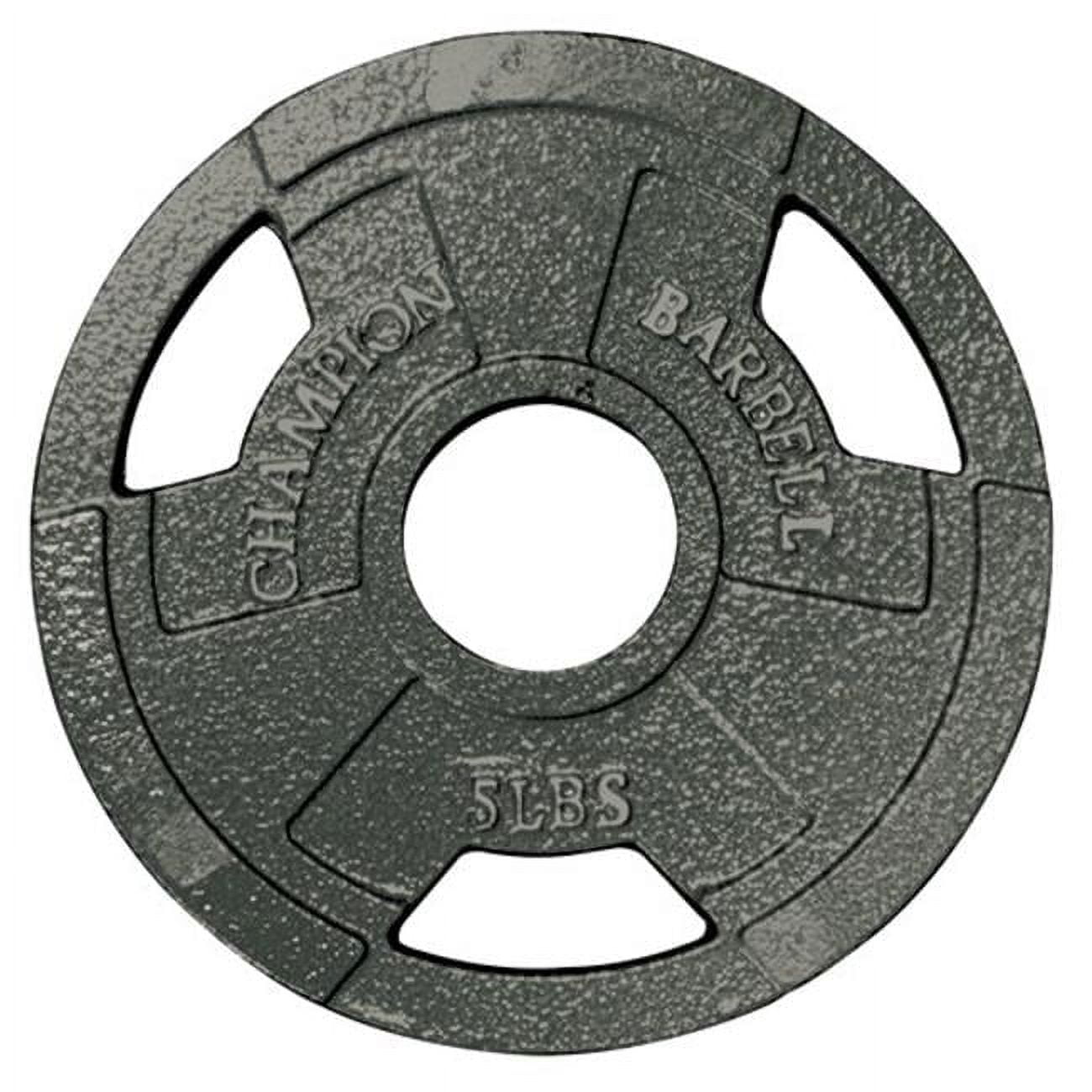 sho■12枚セット80kg+20kg+カールバーT1 ウエイトプレート VTX by Troy Barbell 10 lb. Olympic Grip Plate - Walmart.com
