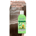 thumbnail image 3 of Acondicionador VivoNatural con Aceite de Bergamota 500 ml, 3 of 4