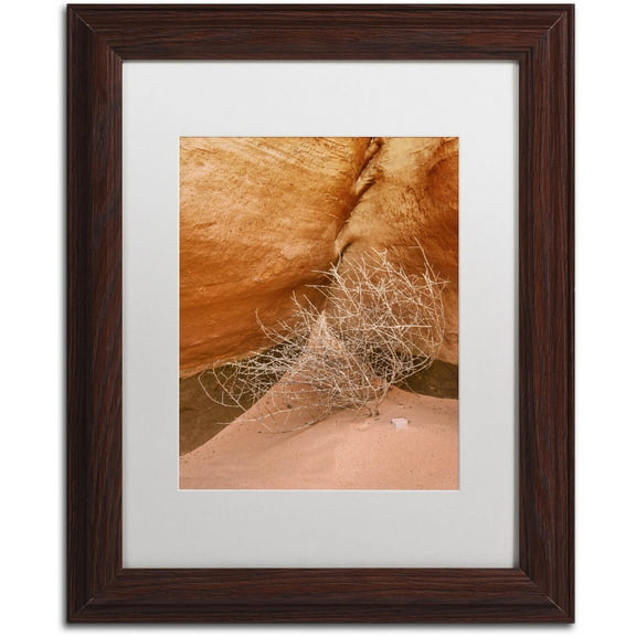 Trademark Fine Art 'Tumbleweed' Canvas Art by Michael Blanchette Photography, White Matte, Wood Frame