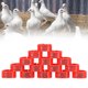 thumbnail image 4 of 100 piezas de anillos de identificación de palomas de plástico reutilizables 001-100 anillos numerados para piernas de aves de corral ANGGREK  Otros, 4 of 8
