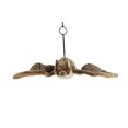 thumbnail image 1 of Peluche Living Nature - Murciélago grande (31cm) Living Nature AN337, 1 of 1