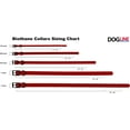 thumbnail image 4 of DogLine - Biothane Waterproof Dog Collar Strong Coated Nylon Webbing with Black Hardware Odor-Proof for Easy Care Clean High Performance Fits Small Medium Large Dogs(Red: L: 12" - 15" |W 5/8"), 4 of 8