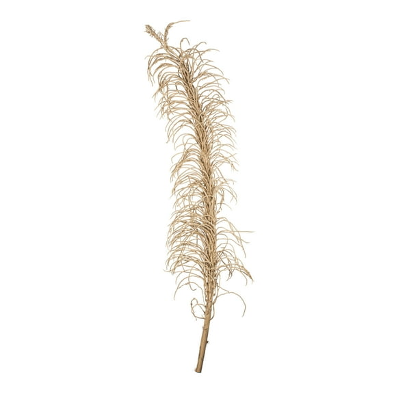 Vickerman 50-60" Natural Medusa Branch - long, 1 piece, Dried