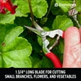 thumbnail image 5 of Corona Long Straight Snips - Stainless Steel, 1 Inch Nippers, 5 of 5