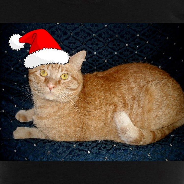 Orange cat pajamas clearance