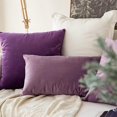 thumbnail image 4 of Paquete de 2 fundas de almohada cuadradas decorativas suaves de terciopelo, fundas de almohada para sofá, dormitorio, coche, 12 x 20 pulgadas, 30 x 50 cm, violeta (hy), 4 of 5
