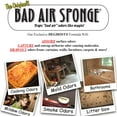 thumbnail image 2 of Bad Air Sponge The Original Odor Absorbing Neutralant, 14oz 2 Pack(Packaging May Vary), 2 of 4