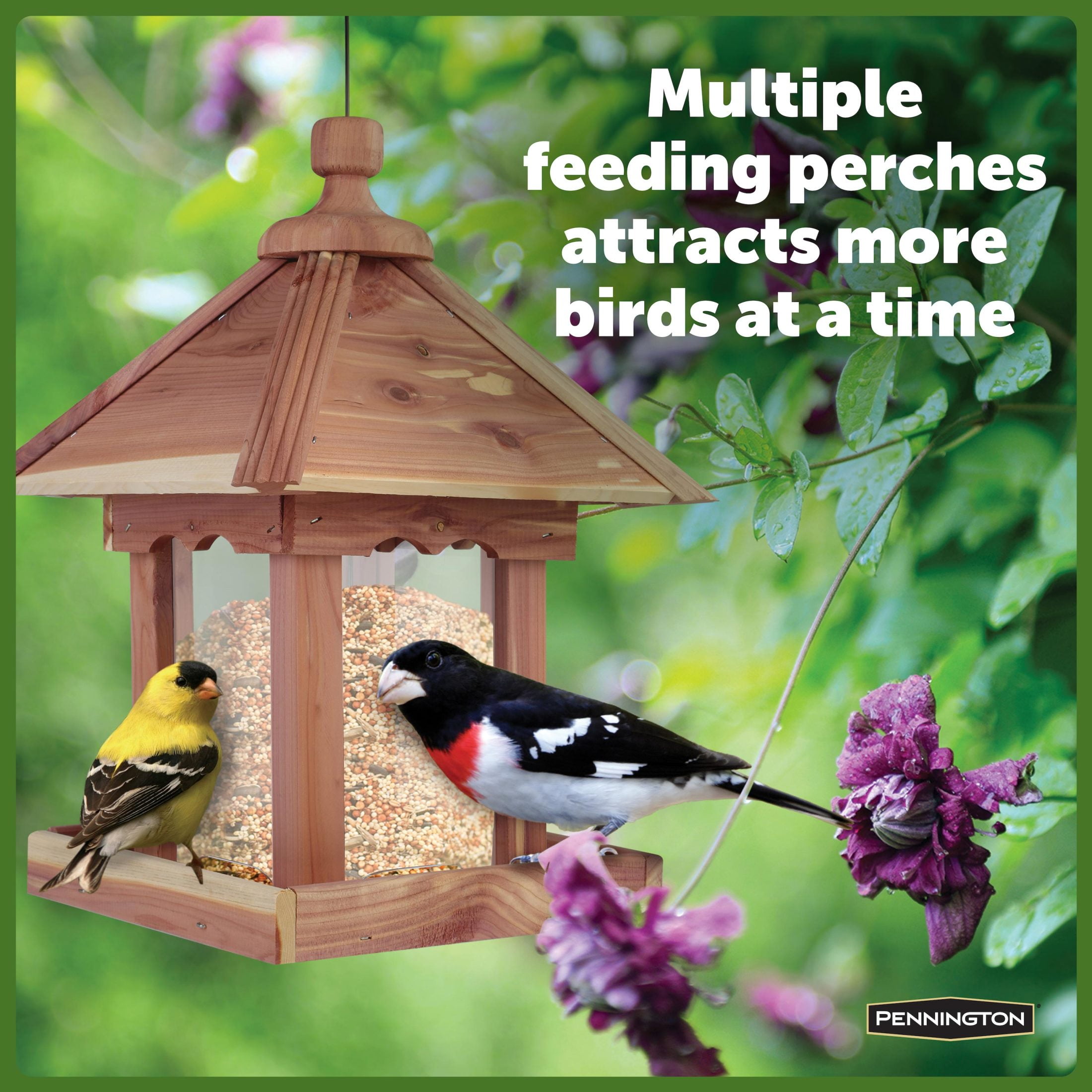Pennington Red Cedar Jr. Pavilion Wild Bird Hopper Feeder, 2.5 lb. Capacity, 13.75 Inch Tall
