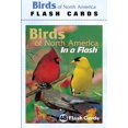thumbnail image 1 of Impact Photographics IMP2FLC Flash Cards Birds North American, 1 of 3