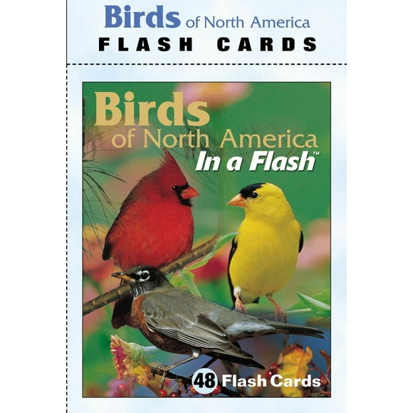Impact Cartes Flash Photographics IMP2FLC Oiseaux Nord-Américains