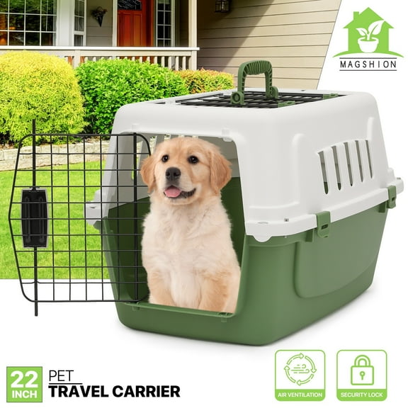 HAPPY  DAY Pets Plastic Carrier, 22-Inch Hard-Sided 2-Door Top-Loading Kennel for Small Dogs and CatsLonger Traveling, Durable Handle, and 4 Sides Ventilation for Pet Up 22 lbs