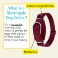 thumbnail image 5 of Country Brook Petz® Martingale Dog Collar - Training Collar with No Buckle (Burgundy, 3XS), 5 of 6