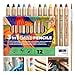 thumbnail image 3 of colozoo 3 In 1 Color Pencils | 12 Colors Set inc. Brush And Sharpener | Non-Toxic And Vegan Colors For Ages 3 And Up, 3 of 4