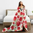 thumbnail image 4 of LNWH Watercolor Red Strawberry Pattern Throw Blanket, Fluffy Soft Cozy Bed Flange Plush Blankets, 40"x30", 4 of 8