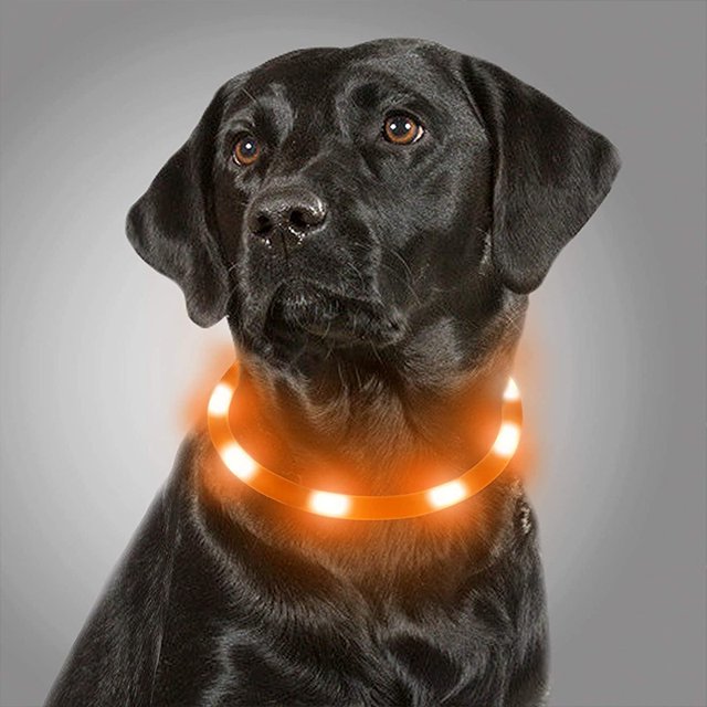 Collar de perro LED, collares de perro recargables que cambian de color del arco iris, luces impermeables para perros que hacen que la mascota sea visible (naranja) JAMW Sencillez