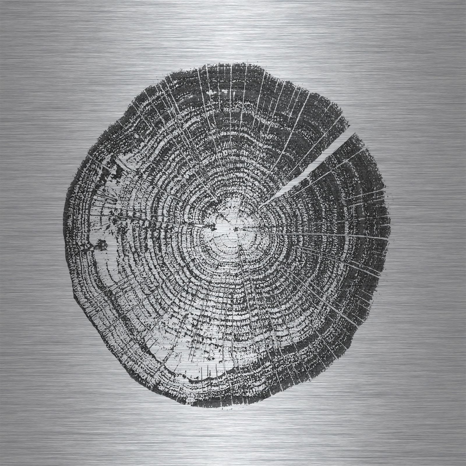 Marmont Hill "Log Cutout Black" By Amanda Greenwood Painting Art Print On Brushed Aluminum, 40.0" x 1.5"