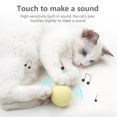 thumbnail image 3 of Juguete De Pelota Para Gatos Juguete Interactivo Para Gatos Juguetes De Hierba Gatera Para Gatos Ejercicio Estimula El Instinto De Caza Del Gato 3 Uds Cateissary PT002455-01, 3 of 5