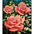 thumbnail image 2 of Roses Poster Print by Peter Motz (12 x 12), 2 of 2