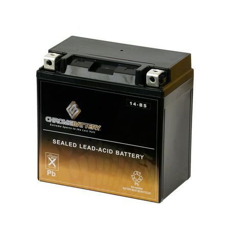 YTX14-BS High Performance - Maintenance Free - Sealed AGM Motorcycle (Best Lightweight Motorcycle Battery)