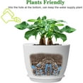 thumbnail image 4 of 12inch Large Plant Pot, Modern Plastic Planter with High Driange Holes and Saucer for Indoor Outdoor Garden Plants and Flowers, White, 4 of 4