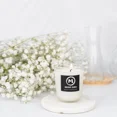 thumbnail image 2 of KLYNE - Meiso Suru Jasmine Candle, Soy Candles, All Natural Soy Wax Candle, Jasmin 6.5 O, 2 of 6