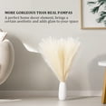 thumbnail image 2 of 6PCS Faux Pampas Grass 17"/43cm Artificial Pompous Grass Fake Pompass Branches Vase Filler Flower Arrangement for Home,Living Room, Kitchen, Wedding ,Boho Decor ( Beige), 2 of 8
