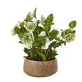 thumbnail image 1 of Hill Interiors Hellebore Artificial Potted Plant, 1 of 2