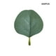thumbnail image 5 of Hojas de eucalipto artificiales decorativas Bearachild 400 piezas HA084431-00, 5 of 6