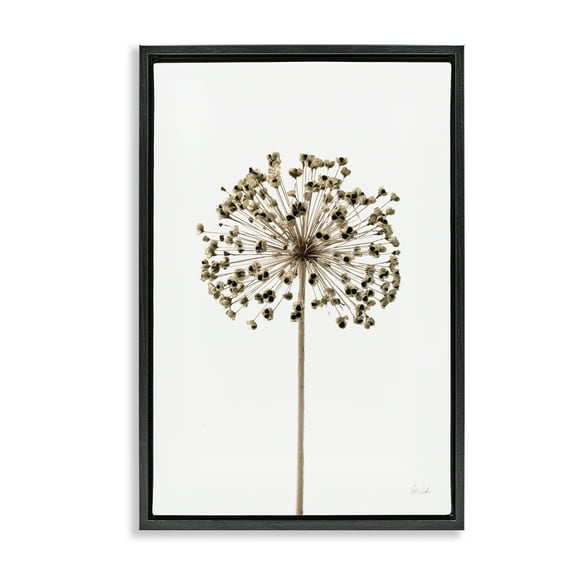 Stupell Industries Minimal Allium Bud Plants & Flowers Painting Black Floater Framed Canvas Art Print Wall Art, 17 x 25