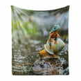 thumbnail image 1 of Funny Soft Flannel Fleece Throw Blanket, Colorful Frog Above the Snail Riverscape Water Rock Mollusks Amphibian Animals, Cozy Plush for Indoor and Outdoor Use, 60" x 80", Multicolor, by Ambesonne, 1 of 6