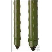 Gardeners Choice ST4 4' Sturdy Plant Stake