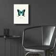 thumbnail image 5 of Epic Art 'Blue Butterfly' by GraphINC, Acrylic Glass Wall Art, 12"x16", 5 of 8