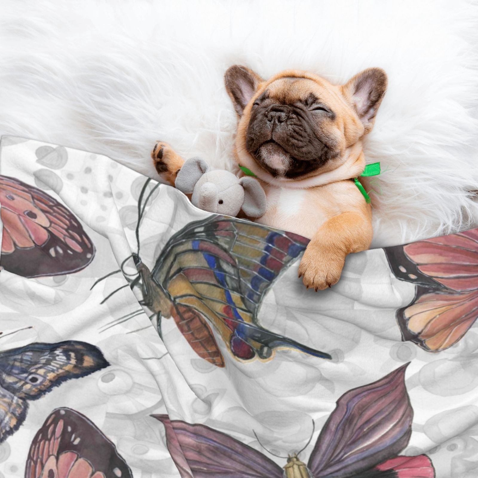 Naloa Vintage Butterflies Dog Blanket, 3 Sizes Cat Blanket for Indoor Cats Large Medium Small Dog Gifts-Medium