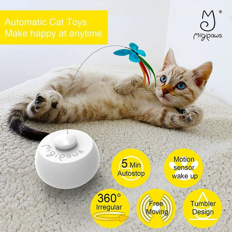 Migipaws Interactive Cat Ball Toy Set, Fun Tracker, Aruba