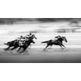 thumbnail image 2 of Zhou, Steven 32x20 Black Ornate Wood Framed with Double Matting Museum Art Print Titled - Taking the Lead, 2 of 4