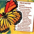 thumbnail image 4 of MasterPieces 100 Piece Jigsaw Puzzle - Monarch Butterfly - 9.75"x13.56", 4 of 4