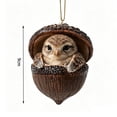 thumbnail image 7 of Forest Animal Acorn Ornaments 2026, Sleeping Owl in Acorn Shell Ornament 2026 – 3D Resin Hanging Decor for Christmas Tree, Woodland Wildlife Gift, 7 of 7