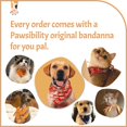 thumbnail image 4 of Fixdono huahua9, 4 of 7