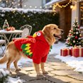 thumbnail image 7 of PET Parrot Costume, a Red Polyester Parrot-Style Costume Sized for the Selected PET Variation, for Dogs, Cats, PET Parties, Photos, and Playful Seasonal Dress-up, Red, Size XL, Practical Home Use, 7 of 7