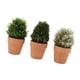 thumbnail image 1 of Plantas Artificiales En Maceta, Planta Falsa De Interior, Plástico De Simulación Altamente Realista, 3 Piezas Para El Hogar, 1 of 7