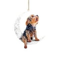 thumbnail image 1 of Arte del hierro Siéntese en la luna Adorno de luna de perro encantador para amantes de los perros Colgante de árbol de Navidad, 1 of 4