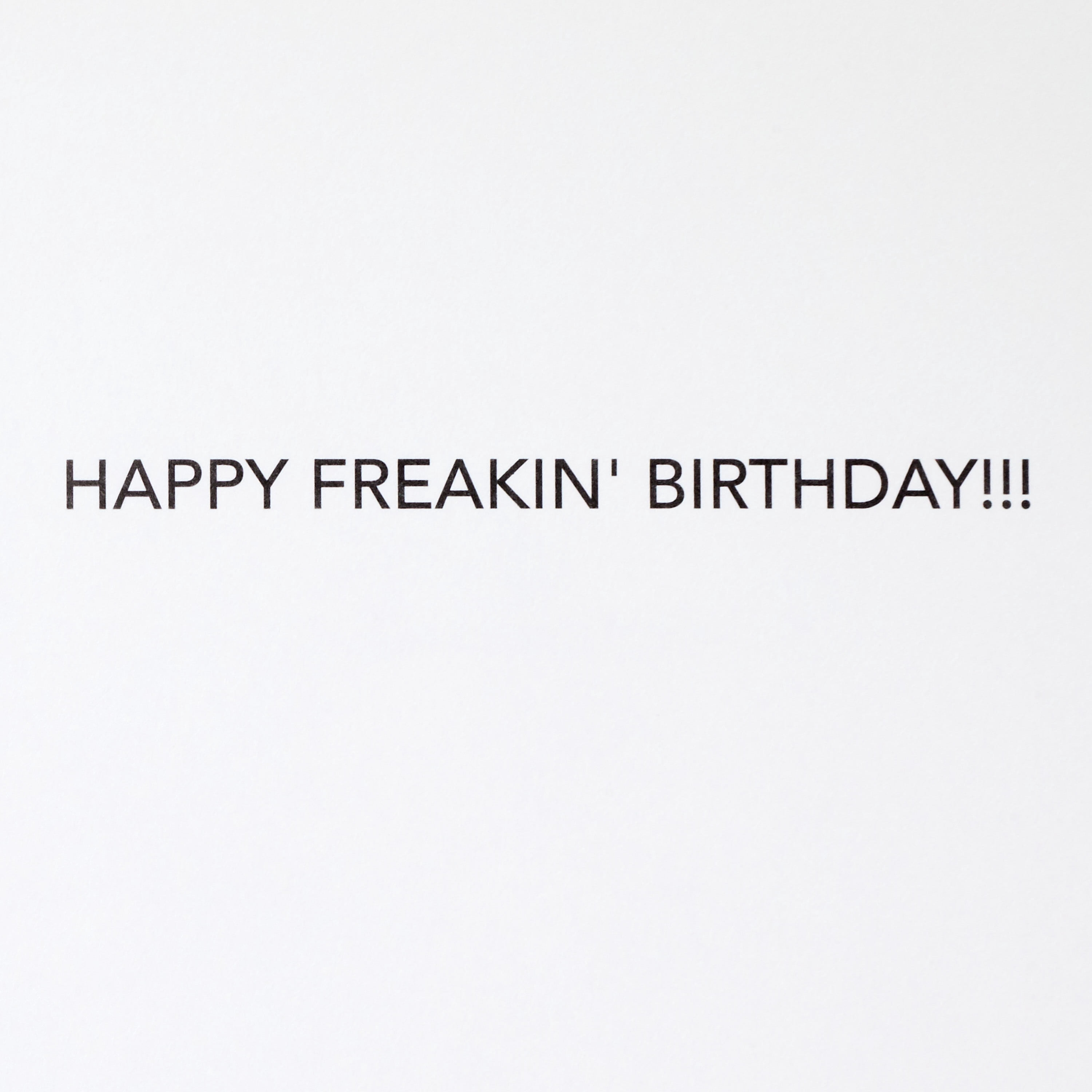 Hallmark Funny Birthday Greeting Card (Wild Black Cat)