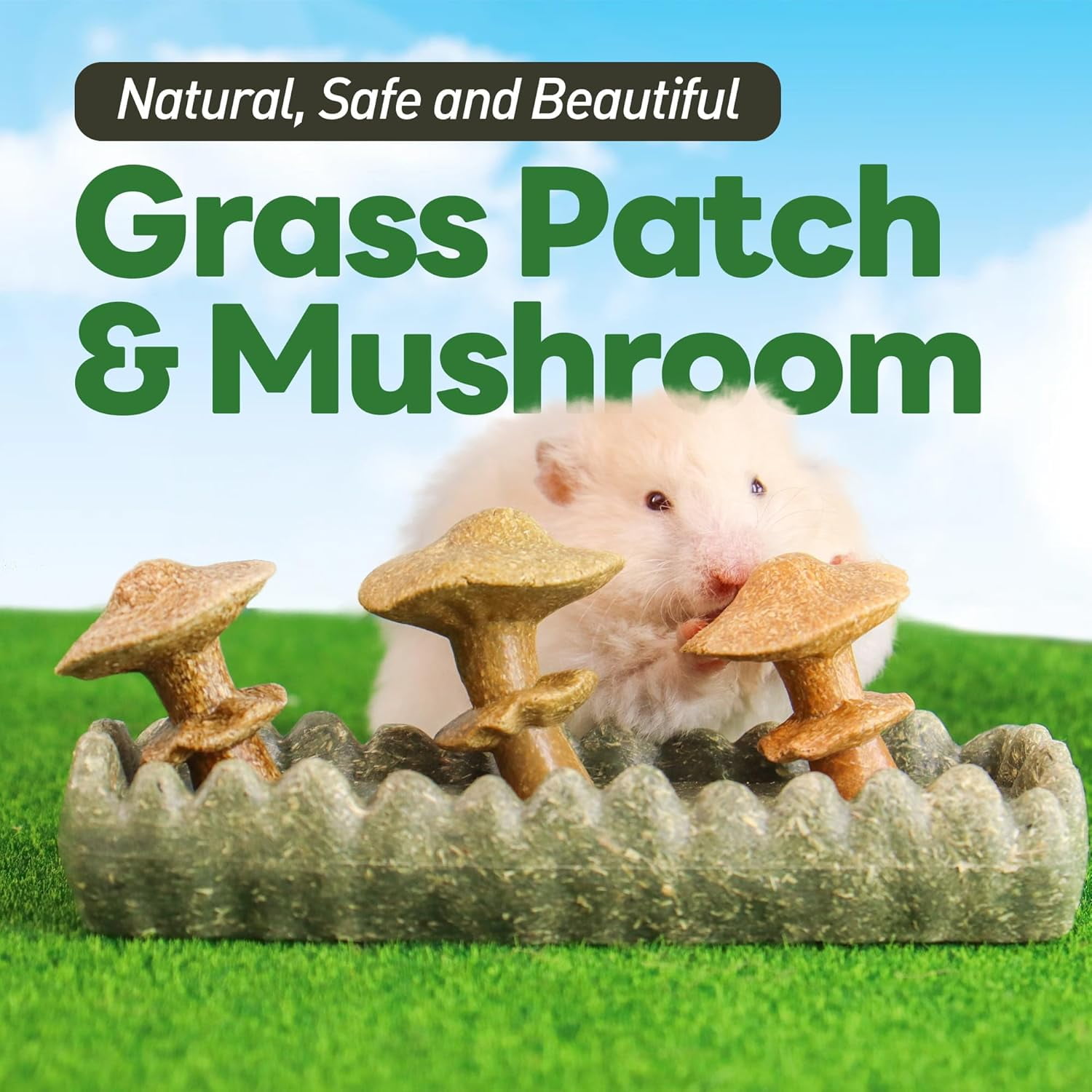Guinea Pig Chew Toys, Prevent Teeth Overgrowth, Natural Timothy Grass & Vegetables, Hamster Chew Toys, Guinea Pig Toys, Chinchilla Toys, 4PCS, Grass Patch & Mushrooms