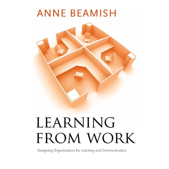 Learning from Work: Designing Organizations for Learning and Communication, (Paperback)