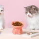 thumbnail image 4 of Comedero elevado de cerámica para gatos | Gran capacidad de 250 ml | Diseño ancho y poco profundo para aliviar la fatiga de los bigotes y brindar soporte al cuello | Comedero y bebedero fácil, 4 of 6