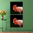 OWNSERIES Flamingo Pattern 2PC Canvas Wall Art Paintings for Living