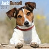 Jack Russell Calendar 2018 - Dog Breed Calendar - Wall Calendar 2017-2018