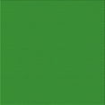 thumbnail image 1 of Ahgly Company Machine Washable Indoor Square Transitional Green Area Rugs, 6' Square, 1 of 7